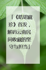 《皓珺藏珍》首发，解码云南民间收藏的坚守与担当
