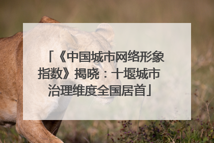 《中国城市网络形象指数》揭晓：十堰城市治理维度全国居首