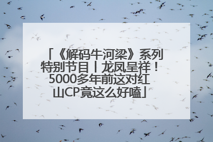 《解码牛河梁》系列特别节目丨龙凤呈祥！5000多年前这对红山CP竟这么好嗑