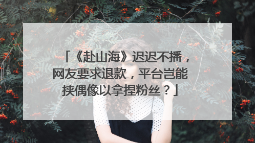 《赴山海》迟迟不播，网友要求退款，平台岂能挟偶像以拿捏粉丝？