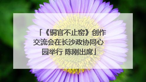 《铜官不止窑》创作交流会在长沙政协同心园举行 陈刚出席