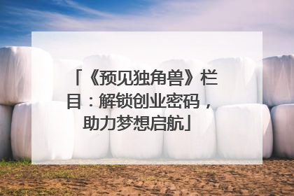 《预见独角兽》栏目：解锁创业密码，助力梦想启航