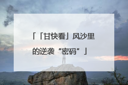 「甘快看」风沙里的逆袭“密码”