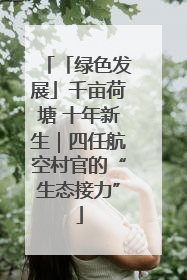 「绿色发展」千亩荷塘 十年新生｜四任航空村官的“生态接力”