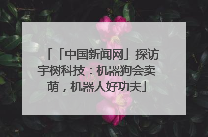「中国新闻网」探访宇树科技：机器狗会卖萌，机器人好功夫