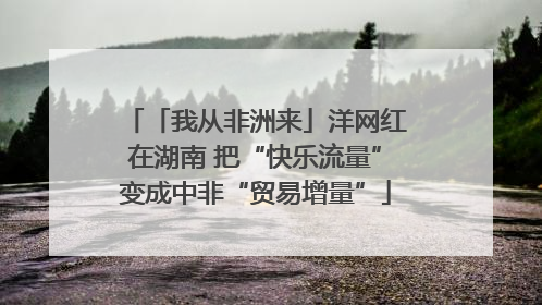 「我从非洲来」洋网红在湖南 把“快乐流量”变成中非“贸易增量”