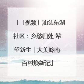 「视频」汕头东湖社区：乡愁归处 希望新生｜大美岭南·百村焕新记