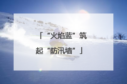 “火焰蓝”筑起“防汛墙”