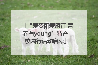 “爱资阳爱雁江·青春有young”特产校园行活动启幕