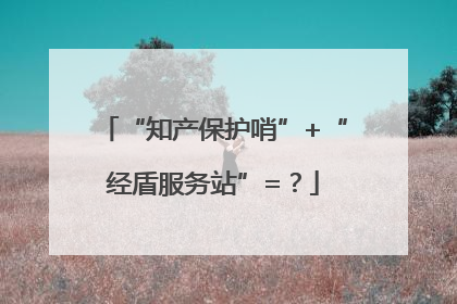 “知产保护哨”+“经盾服务站”=？