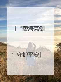 “碧海亮剑”守护平安