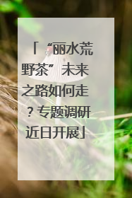 “丽水荒野茶”未来之路如何走？专题调研近日开展