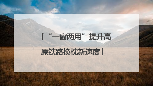 “一窗两用”提升高原铁路换枕新速度