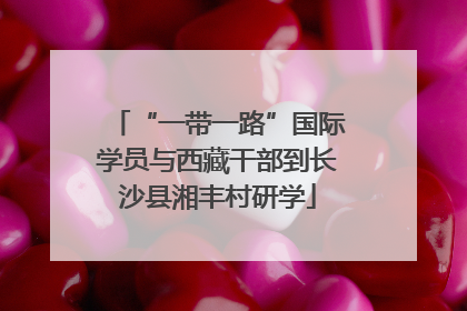 “一带一路”国际学员与西藏干部到长沙县湘丰村研学