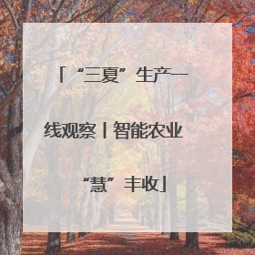 “三夏”生产一线观察丨智能农业“慧”丰收
