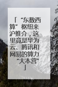 “东数西算”枢纽来沪推介，这里竟是华为云、腾讯和网易的算力“大本营”