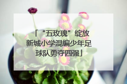 “五玫瑰”绽放 新城小学混编少年足球队勇夺四强