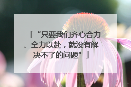“只要我们齐心合力、全力以赴，就没有解决不了的问题”