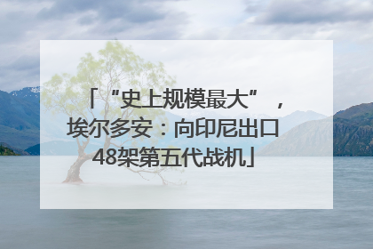 “史上规模最大”，埃尔多安：向印尼出口48架第五代战机