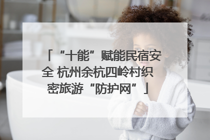 “十能”赋能民宿安全 杭州余杭四岭村织密旅游“防护网”