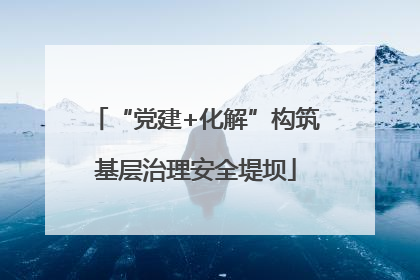 “党建+化解”构筑基层治理安全堤坝