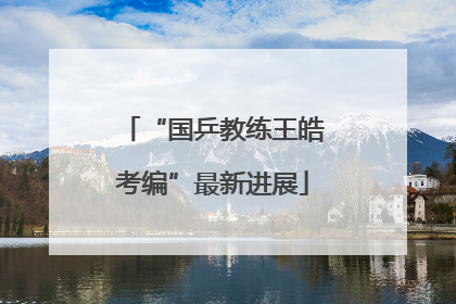 “国乒教练王皓考编”最新进展