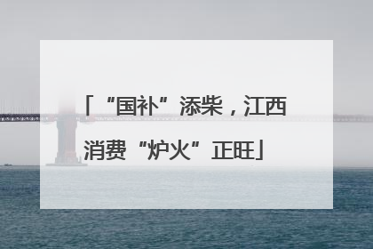 “国补”添柴，江西消费“炉火”正旺
