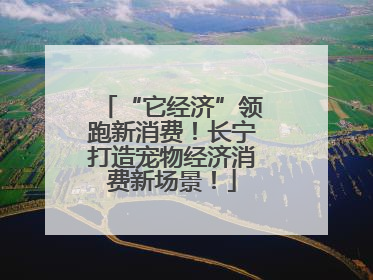 “它经济”领跑新消费！长宁打造宠物经济消费新场景！