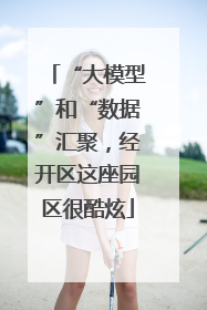 “大模型”和“数据”汇聚，经开区这座园区很酷炫