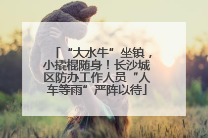 “大水牛”坐镇，小撬棍随身！长沙城区防办工作人员“人车等雨”严阵以待