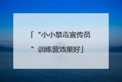 “小小禁毒宣传员”训练营效果好
