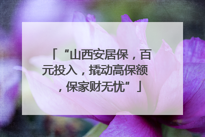 “山西安居保，百元投入，撬动高保额，保家财无忧”