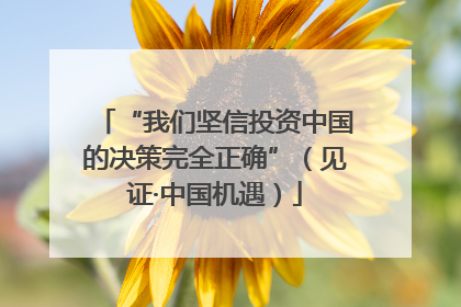 “我们坚信投资中国的决策完全正确”（见证·中国机遇）