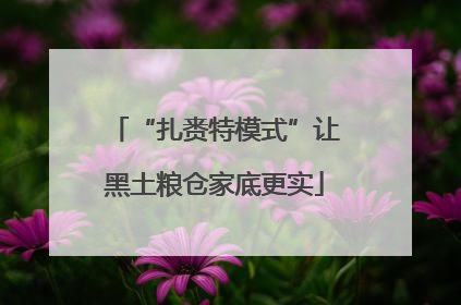 “扎赉特模式”让黑土粮仓家底更实