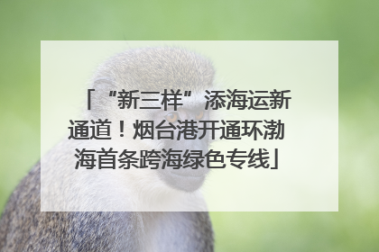 “新三样”添海运新通道！烟台港开通环渤海首条跨海绿色专线