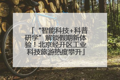 “智能科技+科普研学”解锁假期新体验！北京经开区工业科技旅游热度攀升