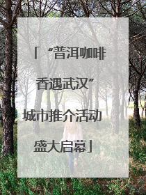 “普洱咖啡 香遇武汉”城市推介活动盛大启幕