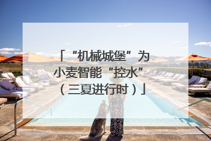 “机械城堡”为小麦智能“控水”（三夏进行时）