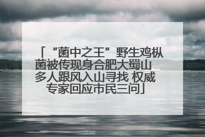 “菌中之王”野生鸡枞菌被传现身合肥大蜀山 多人跟风入山寻找 权威专家回应市民三问
