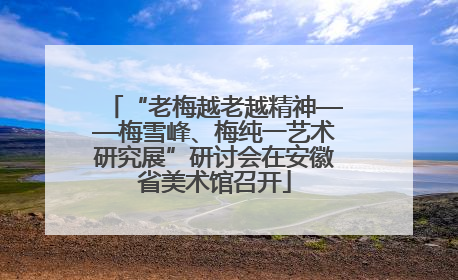 “老梅越老越精神——梅雪峰、梅纯一艺术研究展”研讨会在安徽省美术馆召开