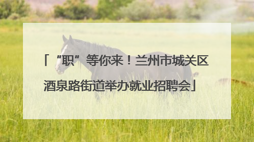 “职”等你来！兰州市城关区酒泉路街道举办就业招聘会