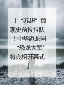 “苏超”惊现史前拉拉队！中华恐龙园“恐龙大军”将亮相开幕式