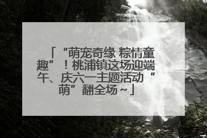 “萌宠奇缘 粽情童趣”！桃浦镇这场迎端午、庆六一主题活动“萌”翻全场～