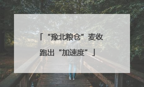 “豫北粮仓”麦收跑出“加速度”