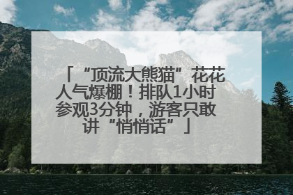 “顶流大熊猫”花花人气爆棚！排队1小时参观3分钟，游客只敢讲“悄悄话”