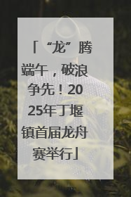 “龙”腾端午，破浪争先！2025年丁堰镇首届龙舟赛举行