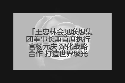 王忠林会见联想集团董事长兼首席执行官杨元庆 深化战略合作 打造世界级光电子信息产业集群