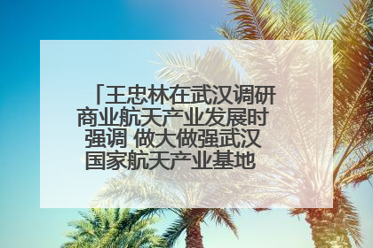 王忠林在武汉调研商业航天产业发展时强调 做大做强武汉国家航天产业基地 打造具有全国影响力的“中国星谷”