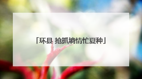 环县 抢抓墒情忙夏种