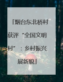 烟台东北桥村获评“全国文明村”：乡村振兴展新貌